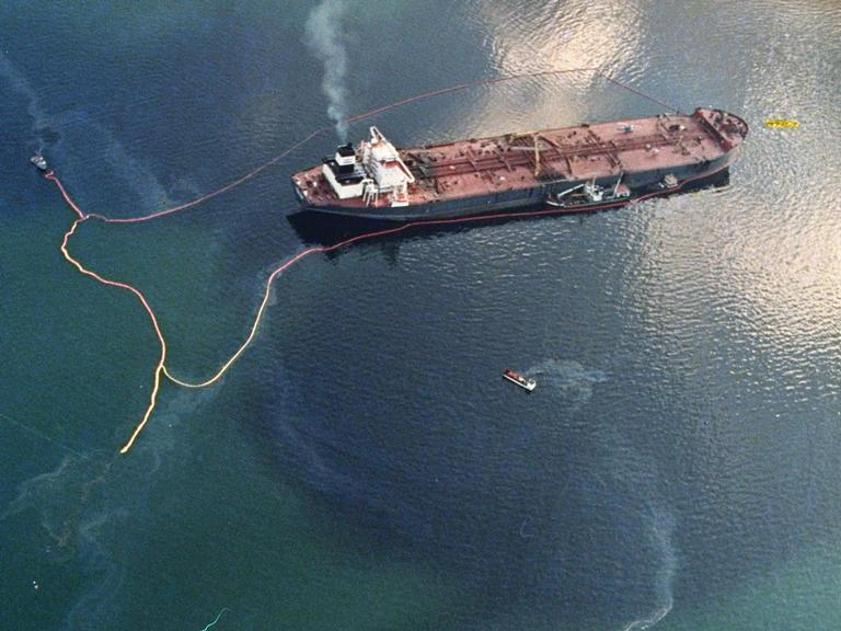 ENVIRONMENT - Wildlife still exposed to <I>Exxon Valdez</I> oil