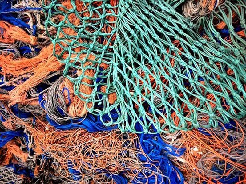 Commercial fishing nets are likely to be banned in bays around Australia. So why are restaurants and