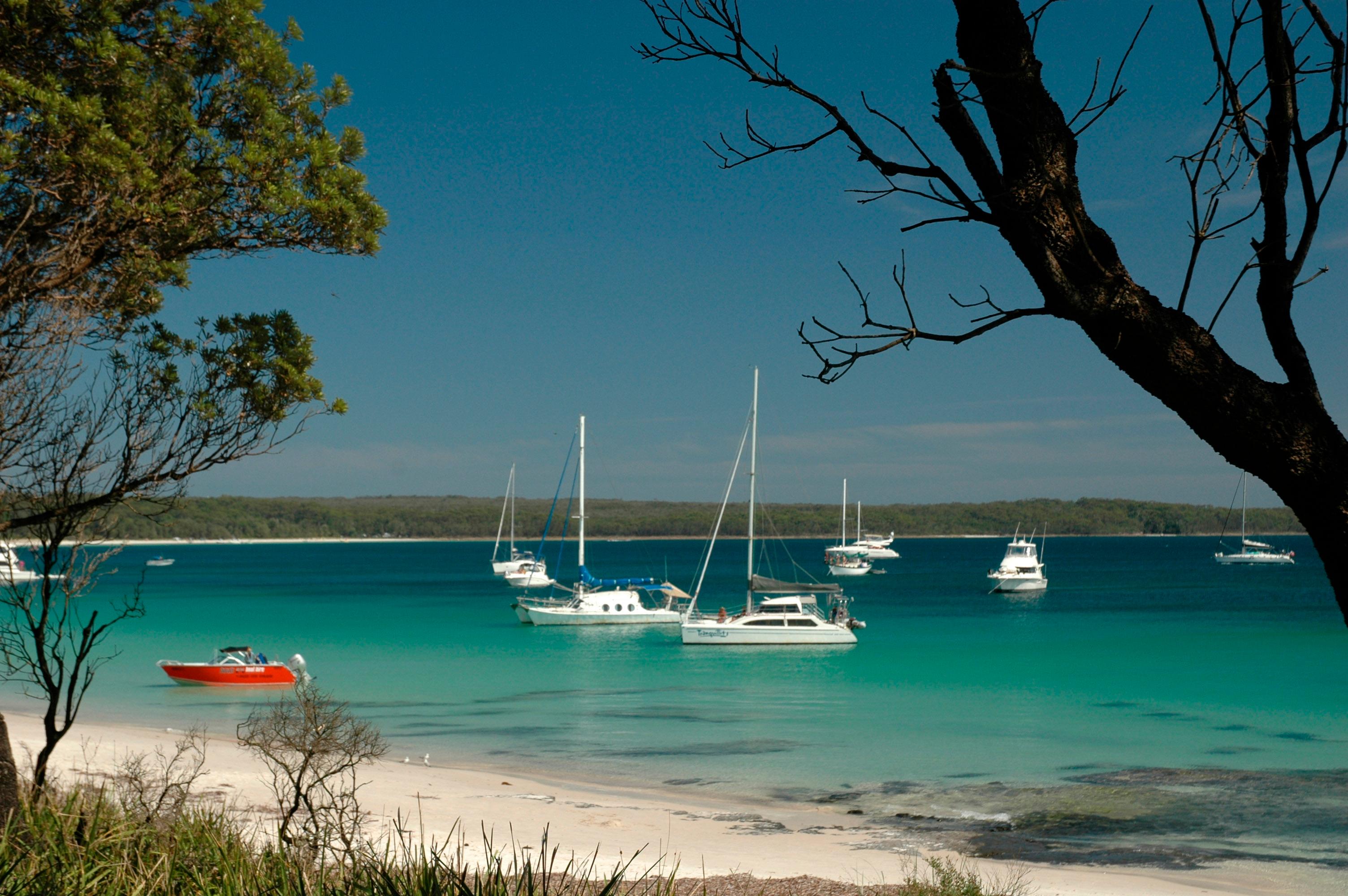 NEWS — New zoning plans for two NSW Marine Parks
