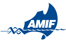 AMIF folds