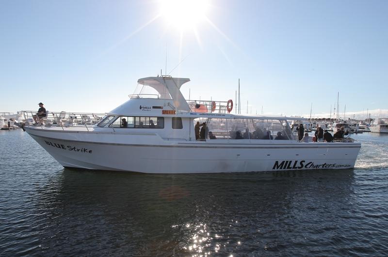 Blue Strike charter boat from Mills Charters out of Perth.